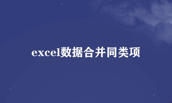 excel数据合并同类项