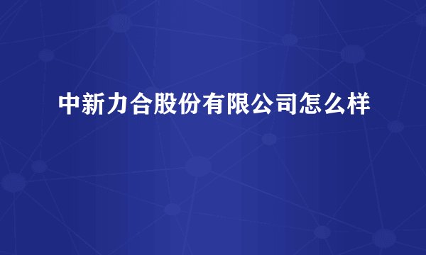 中新力合股份有限公司怎么样