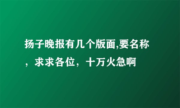 扬子晚报有几个版面,要名称，求求各位，十万火急啊