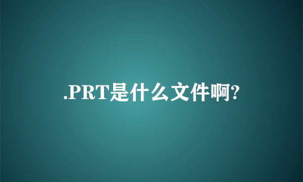 .PRT是什么文件啊?