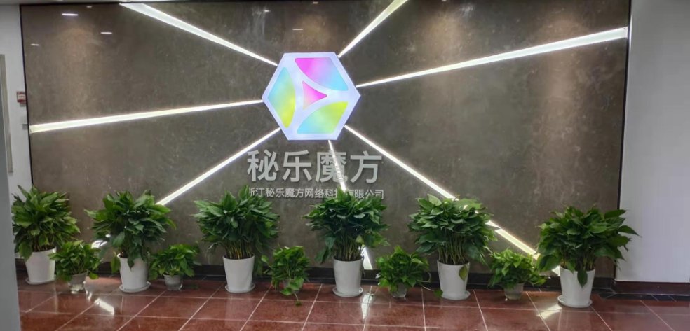 秘乐魔方主要是做什么的呀？谁能给我介绍一下呀？