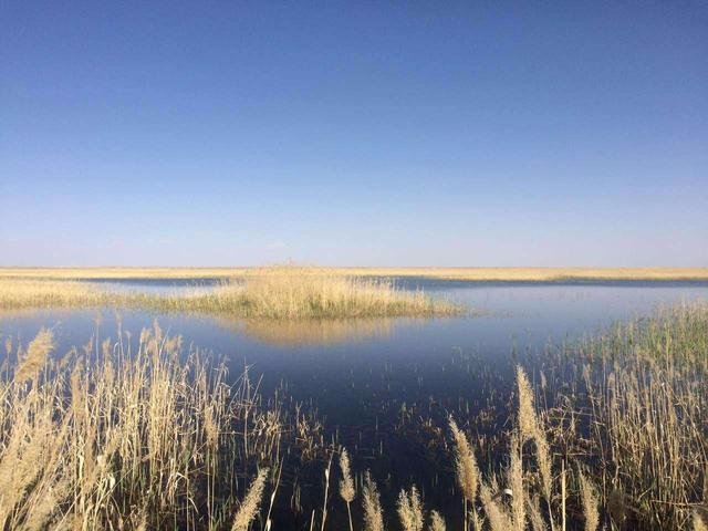 红崖山水库的修建对现今的环境造成什么样的影响呢？