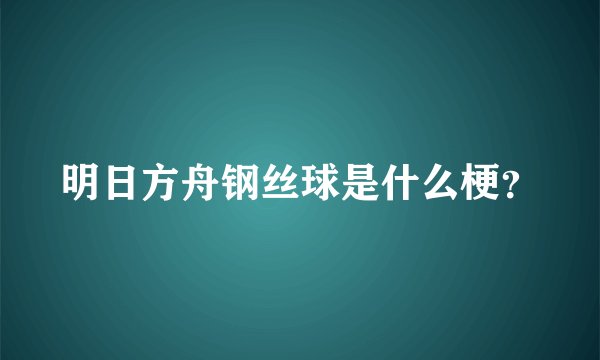 明日方舟钢丝球是什么梗？