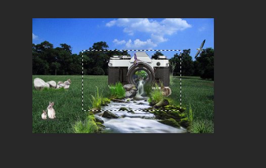 PS怎么添加反向蒙版？反向蒙版 什么意思啊？
