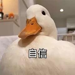 英语四六级总分分别是多少啊?