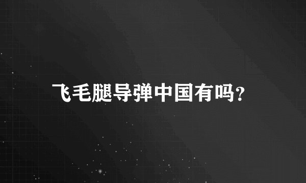 飞毛腿导弹中国有吗？