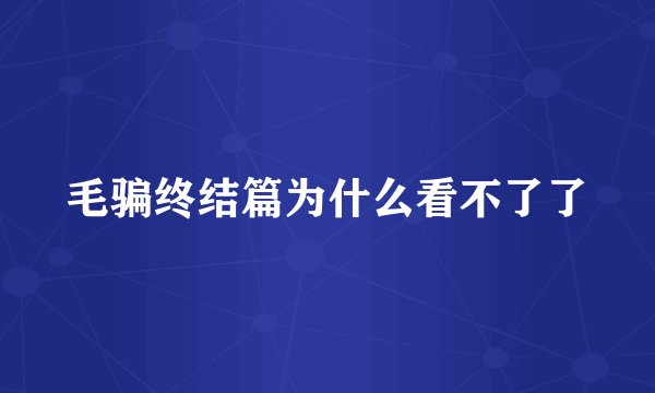 毛骗终结篇为什么看不了了