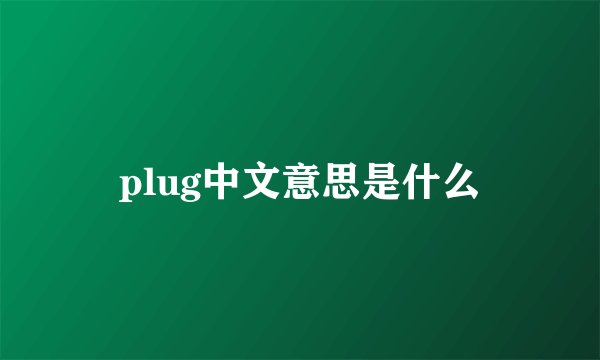 plug中文意思是什么