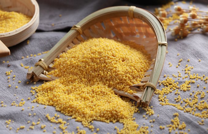 黄米与稷米是同种物质吗