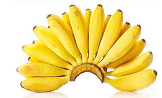 芭蕉,小米蕉,皇帝蕉有什么区别？