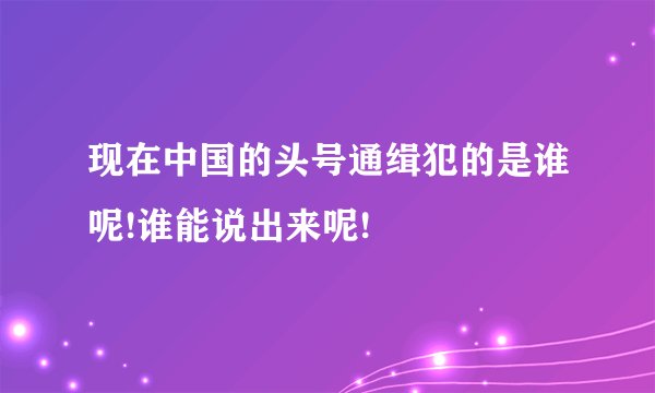 现在中国的头号通缉犯的是谁呢!谁能说出来呢!