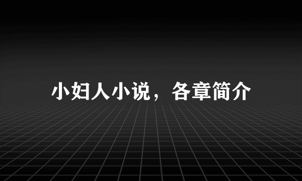 小妇人小说，各章简介
