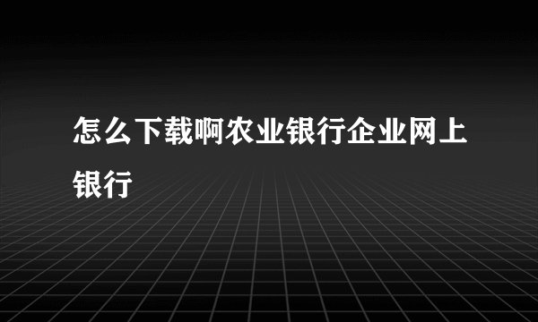 怎么下载啊农业银行企业网上银行