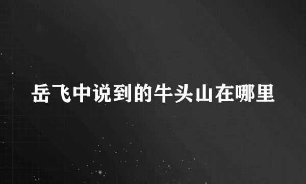 岳飞中说到的牛头山在哪里