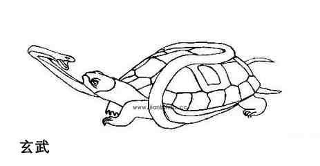 简笔画白虎青龙麒麟朱雀玄武怎么画