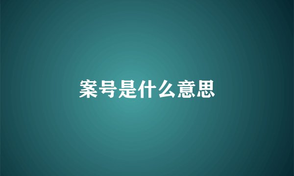 案号是什么意思
