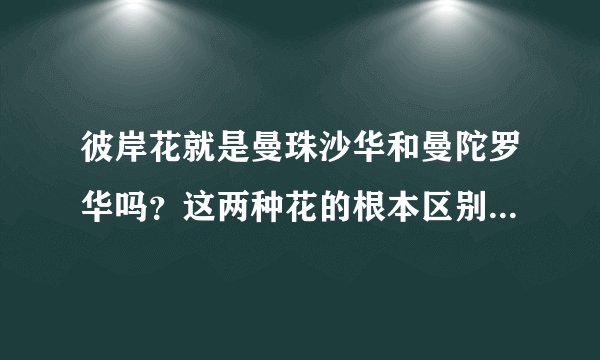 彼岸花就是曼珠沙华和曼陀罗华吗？这两种花的根本区别是什么？