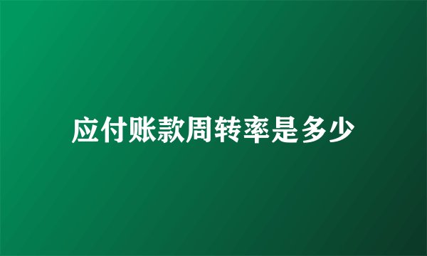 应付账款周转率是多少