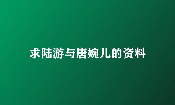 求陆游与唐婉儿的资料
