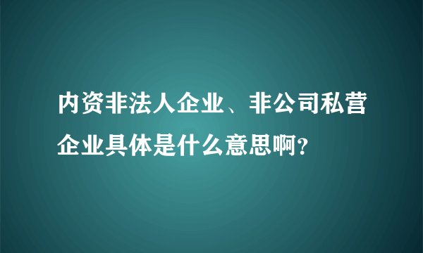 内资非法人企业、非公司私营企业具体是什么意思啊？