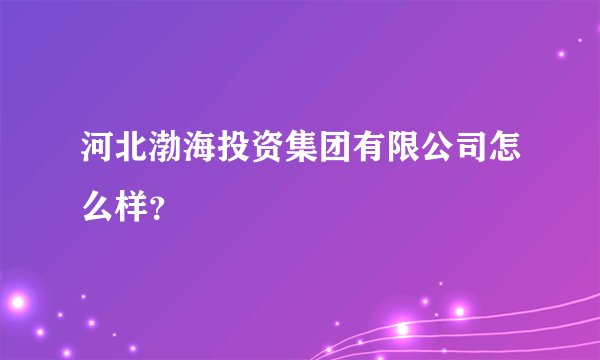 河北渤海投资集团有限公司怎么样？