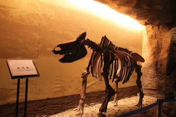 什么是远古时代?远古时代和上古时代的区别在哪里?