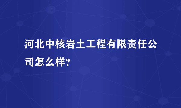 河北中核岩土工程有限责任公司怎么样？