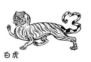 简笔画白虎青龙麒麟朱雀玄武怎么画