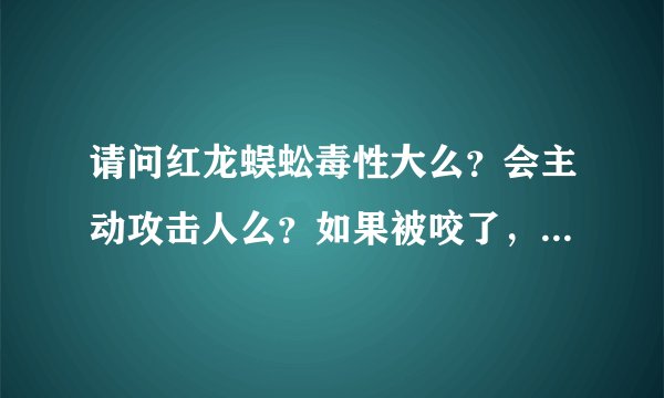 请问红龙蜈蚣毒性大么？会主动攻击人么？如果被咬了，应该怎么处理伤口