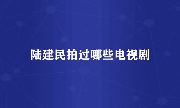 陆建民拍过哪些电视剧