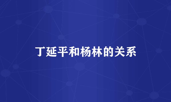 丁延平和杨林的关系