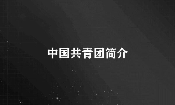中国共青团简介