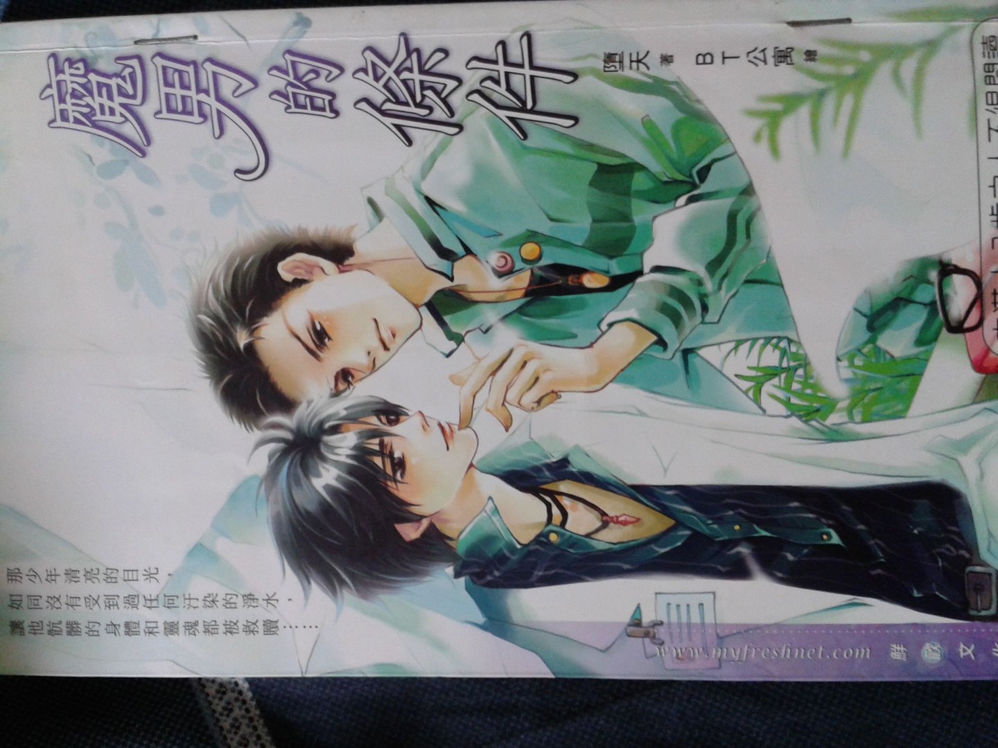 堕天的小说作者