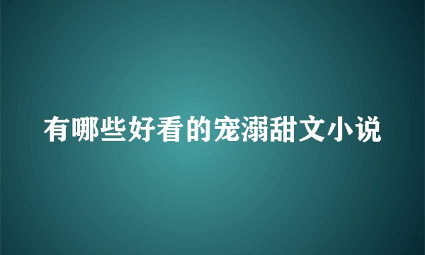 有哪些好看的宠溺甜文小说