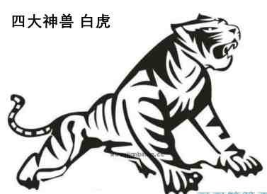 简笔画白虎青龙麒麟朱雀玄武怎么画