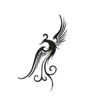 简笔画白虎青龙麒麟朱雀玄武怎么画