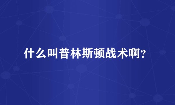 什么叫普林斯顿战术啊？