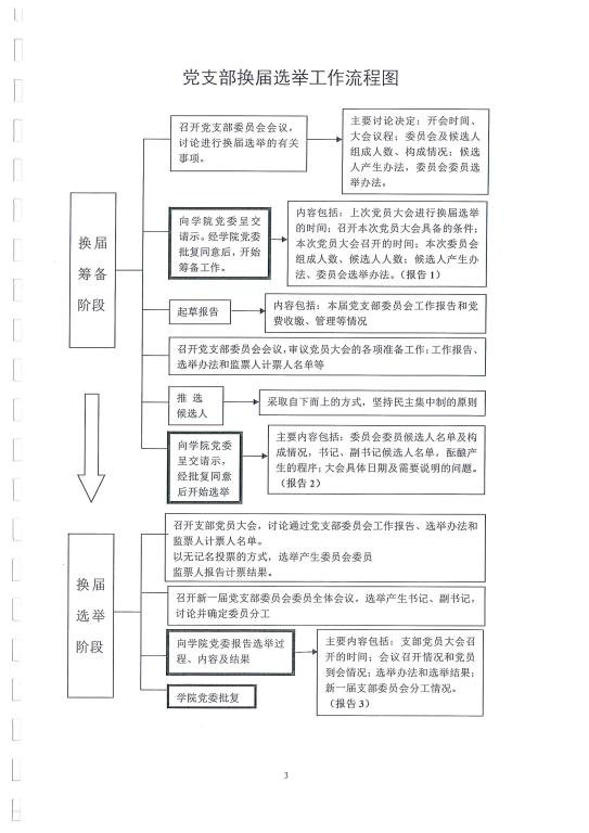 党支部换届选举工作流程图