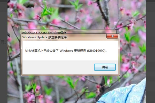 电脑丢失D3DCompiler_47.dll