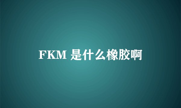 FKM 是什么橡胶啊