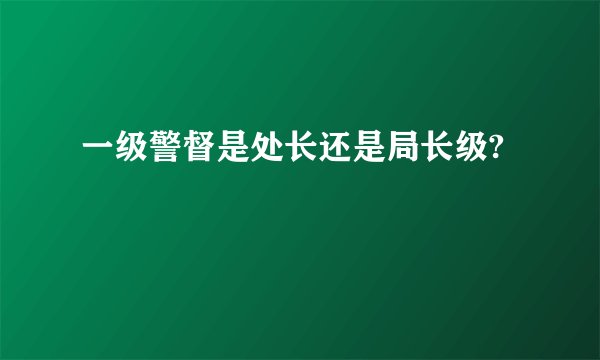 一级警督是处长还是局长级?