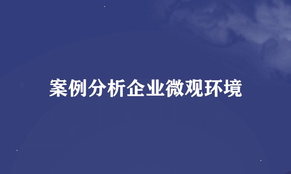 案例分析企业微观环境
