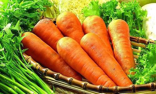 胡萝卜不能跟什么食物一起吃