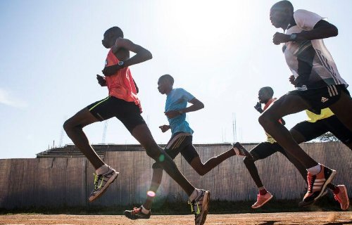 耐力性练习方法有哪些？