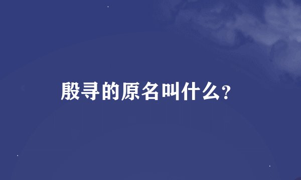 殷寻的原名叫什么？