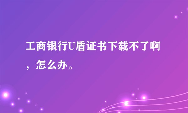 工商银行U盾证书下载不了啊，怎么办。