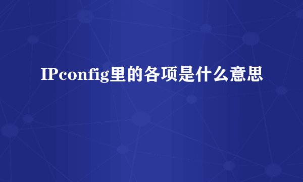 IPconfig里的各项是什么意思