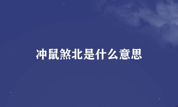 冲鼠煞北是什么意思