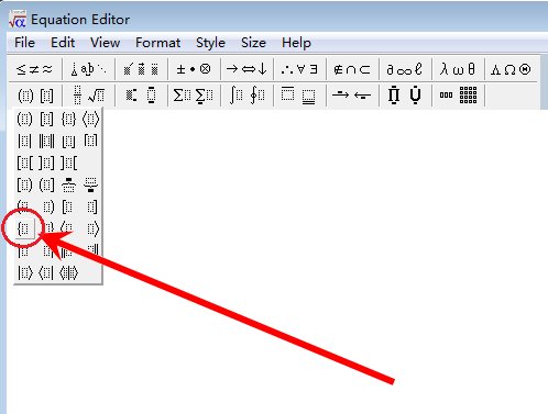 如何在word中添加大括号？