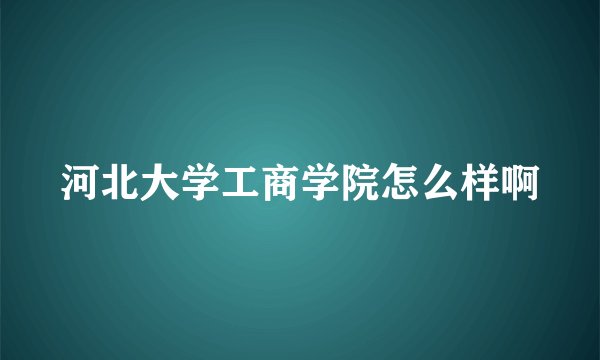 河北大学工商学院怎么样啊